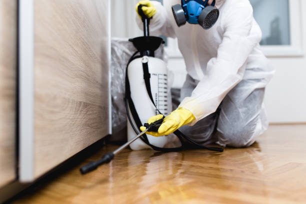 Best Termite Control Services  in Fort Hall, ID