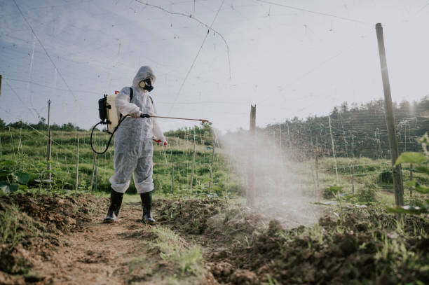 Best Mosquito Control Services  in Fort Hall, ID