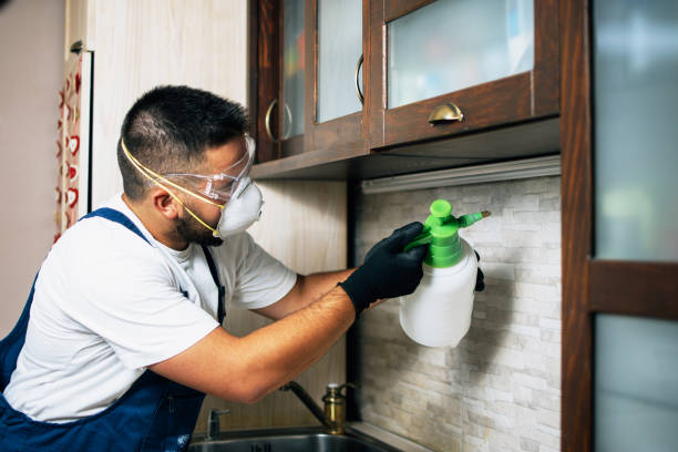 Professional Pest Control in Fort Hall, ID