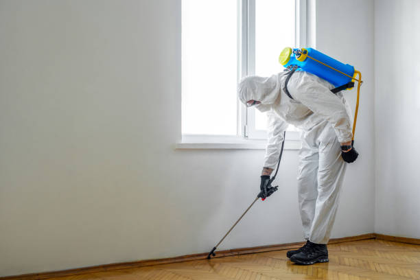 Best Best Pest Control Companies  in Fort Hall, ID