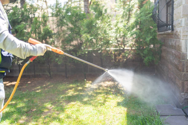 Best Affordable Pest Control Services  in Fort Hall, ID