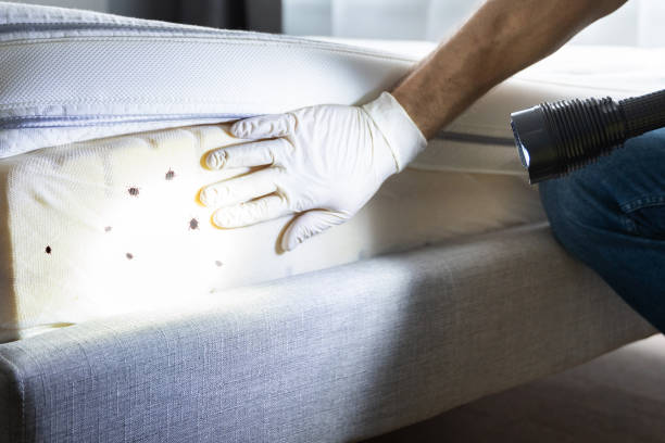 Best Pest Removal Services  in Fort Hall, ID