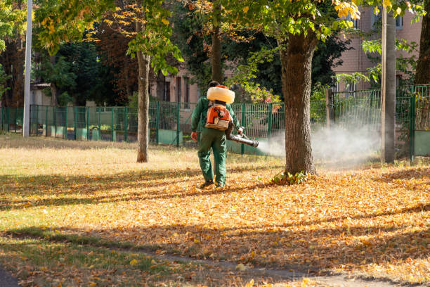  Fort Hall, ID Pest Control Pros