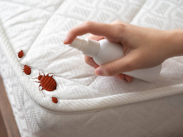 Best Pest Prevention Services  in Fort Hall, ID