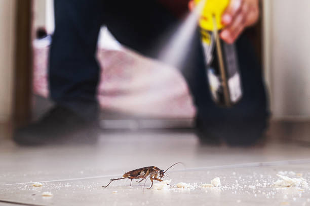 Best Residential Pest Control  in Fort Hall, ID