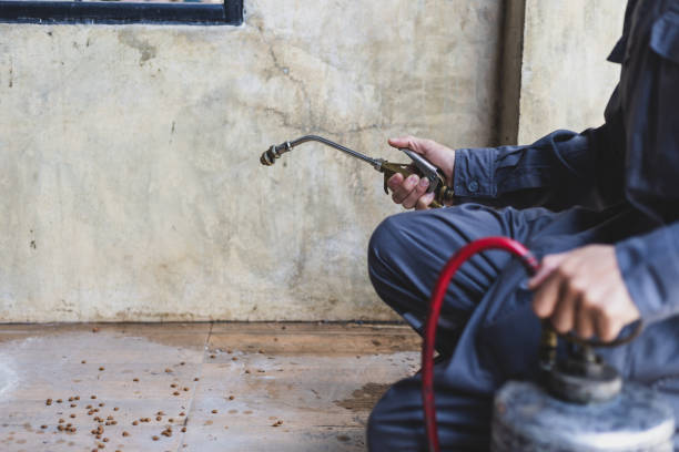 Pest Prevention Services in Fort Hall, ID